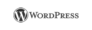 Web designing tools Wasif Ahmed builds with - WordPress, Shopify, Elementor